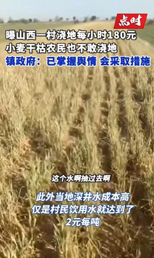 村支書回應村里澆地180元每小時