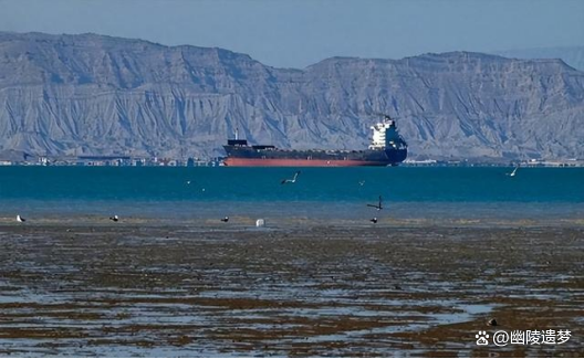 全球订单回流中国 供应链韧性凸显