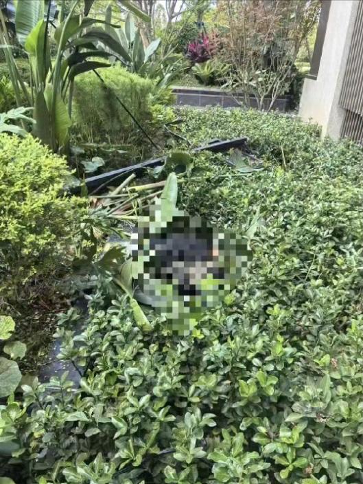 成都一门窗安装工从18楼坠落