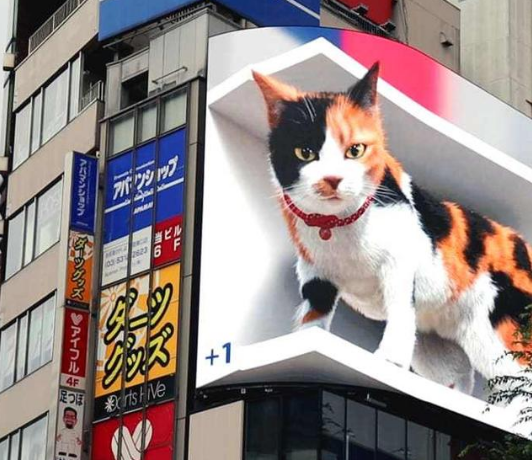 巨型3D猫咪亮相日本东京