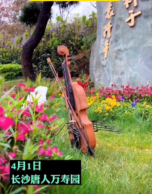 袁隆平夫人口罩上的话让人泪目：人就像一粒种子，要做一粒好种子