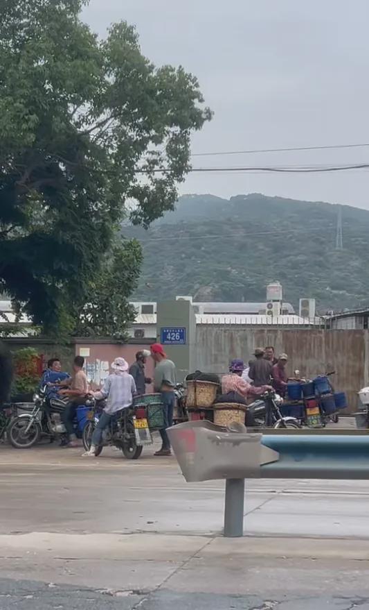 從6元跌到1元，還是賣不出：楊梅滯銷困局