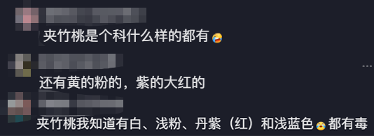 女生拍照時(shí)沾到夾竹桃中毒過敏 年年科普仍中招