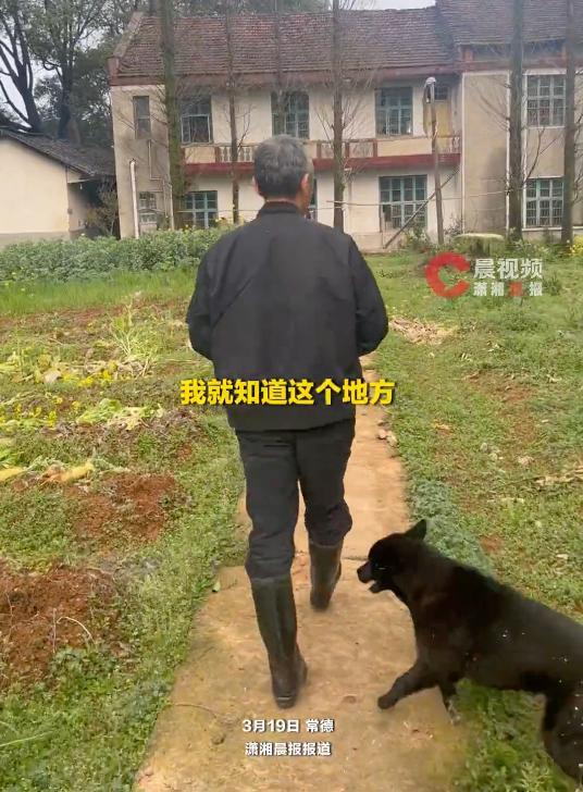 退休干部孤岛生活10多年:这里山好水好,非常适合养老