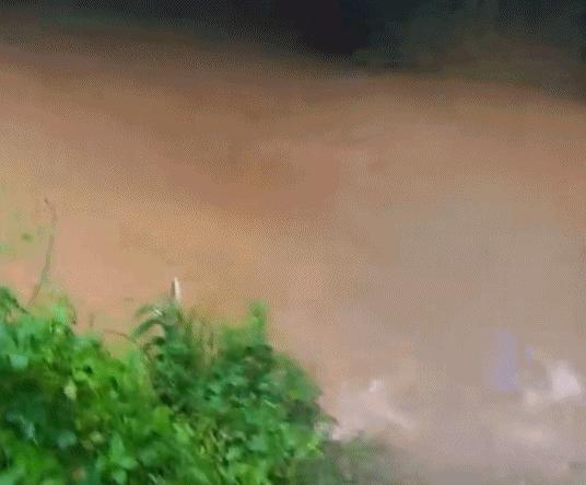 男子不慎滑入急流 民警逆游托举营救 生死瞬间默契救援