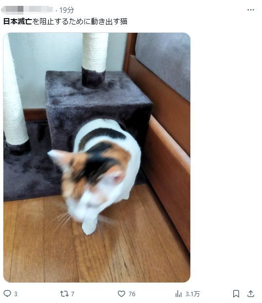 日本預(yù)言一個(gè)漫畫家的夢(mèng) 社交媒體熱議與現(xiàn)實(shí)影響