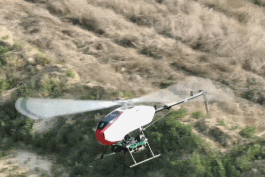 全域感知、精準狙殺 “智能蜂群”出擊！