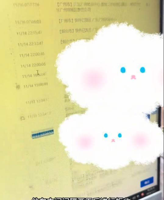 僅退款225個(gè)快遞女子已歸案 惡意“薅羊毛”終落網(wǎng)