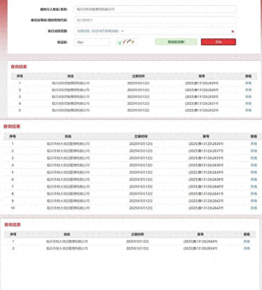 临沂河东控股新增17条劳动仲裁强制执行信息，执行总金额超200万元