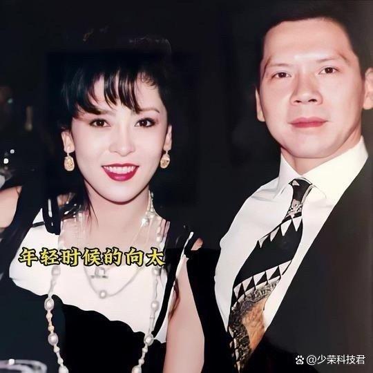 向太喊话向华强补办婚礼 45年相濡以沫引发热议