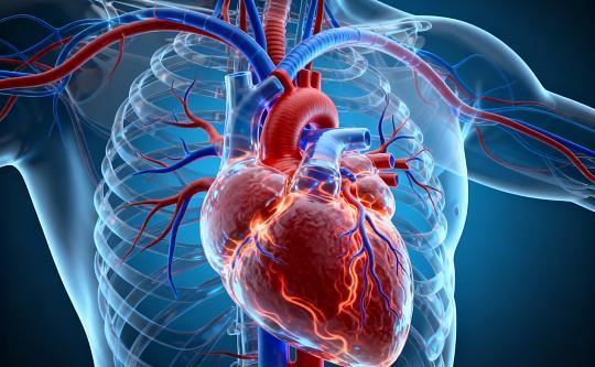 湖北一男子因冠心病去世,生前长期吃他汀,为什么病还是恶化了 综合风险管理的重要性