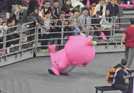 全运会开幕式踩水的“乐融融”找到了 萌力全开显眼包