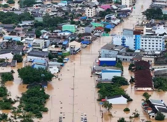 巨蛇在泰国洪水中游动 全国累计41人遇难