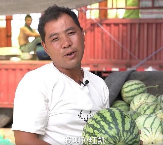 验瓜师月入3万:3秒挑一个西瓜