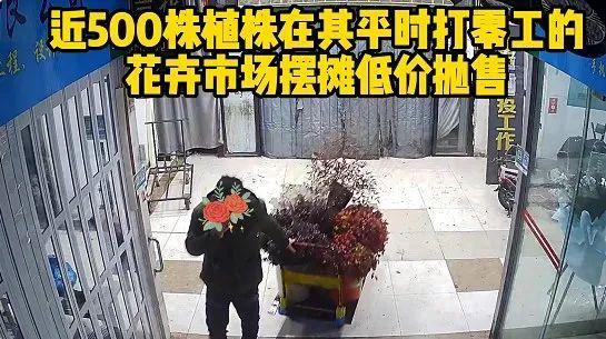 男子偷光3公里绿植 1500元贱卖  最终被依法刑事拘留