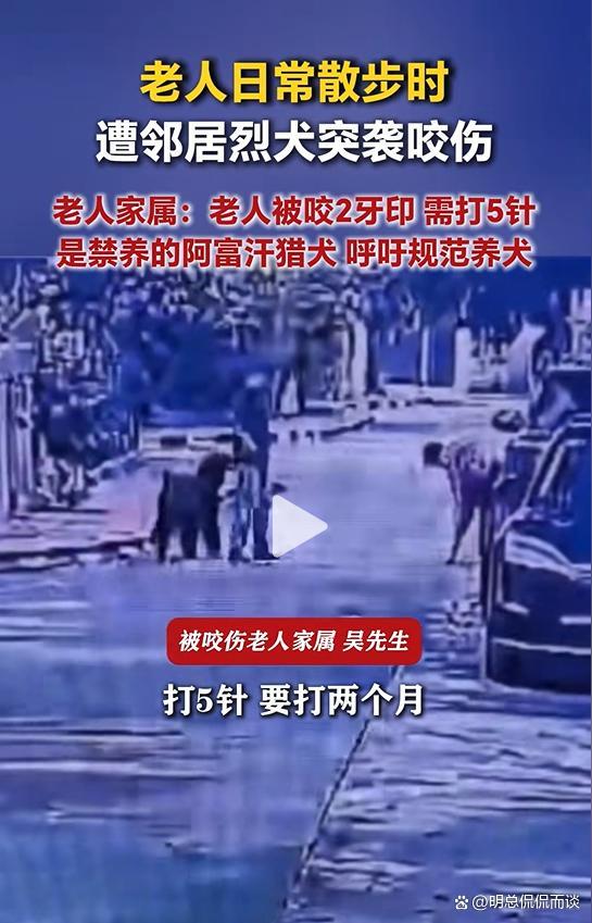 老人散步被邻居家烈犬咬伤 禁养犬惹祸引发关注