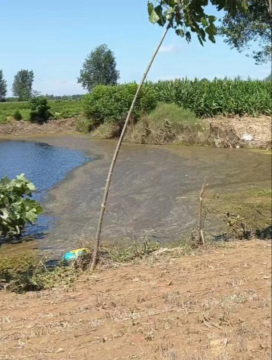 女生遭性侵溺亡案檢方將抗訴 家屬不滿一審判決