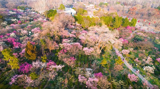 春游去哪里？解锁这些藏在春日里的限定美景