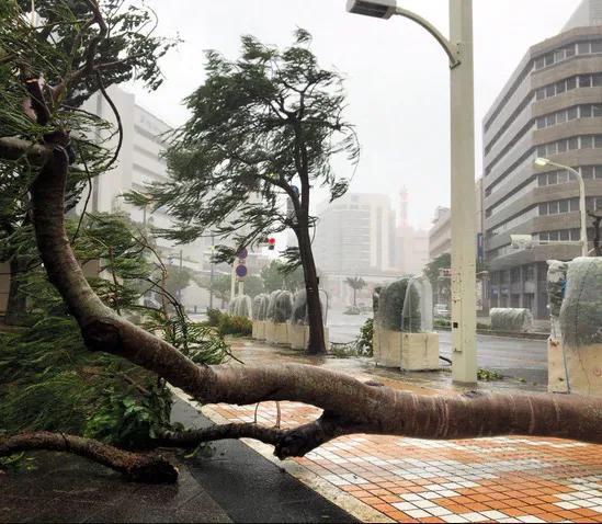 日本成秋台风“头号目标”？这波是“地理+天气”的双重针对