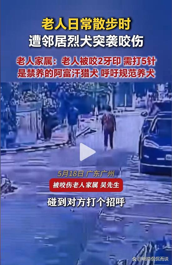 老人散步被邻居家烈犬咬伤 禁养犬惹祸引发关注