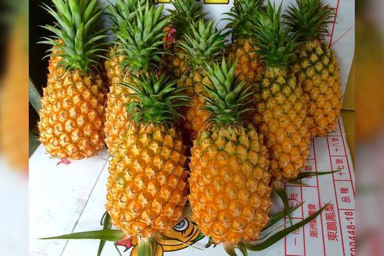 台湾菠萝检疫99.7％合格率？真相可笑