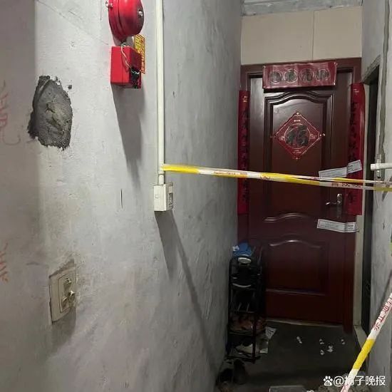 警方谈少年杀害房东：犯罪嫌疑人已被执行逮捕