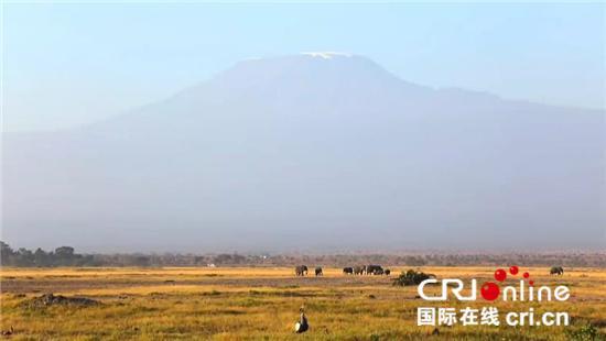 中国游客助力肯尼亚旅游业发展