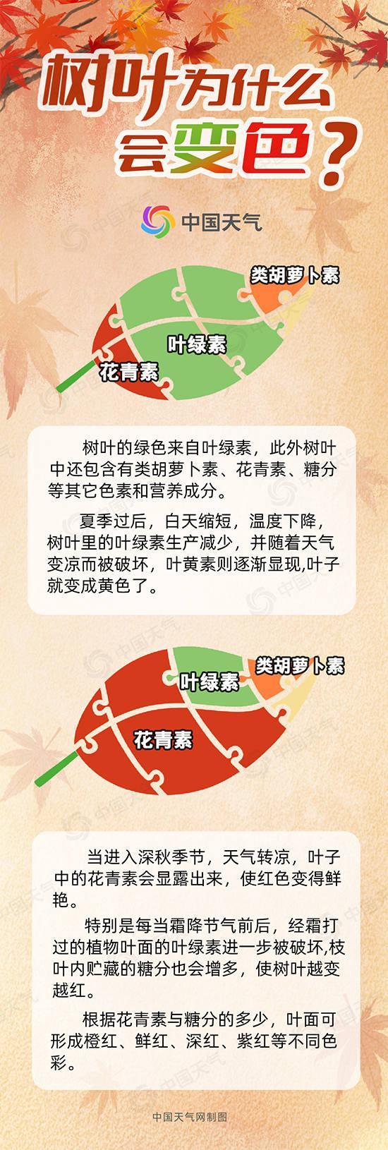 全国赏红叶地图出炉 秋色正浓时