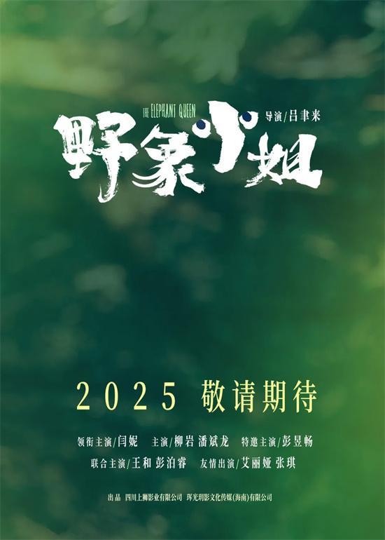 2025年你最期待哪部电影 100部华语新片精彩不断