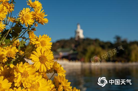 全国重阳节出游天气地图出炉 登高赏菊正当时