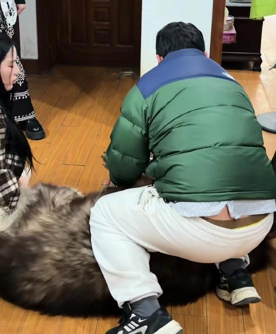 女子回应发咬人犬只安乐死视频 养宠责任引热议