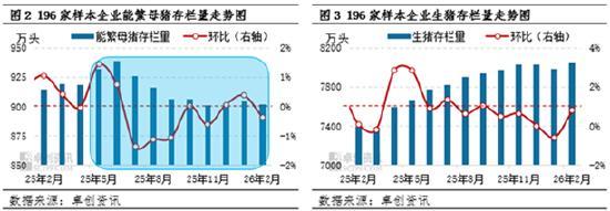 猪肉价创7年新低 供应过剩致价格下跌