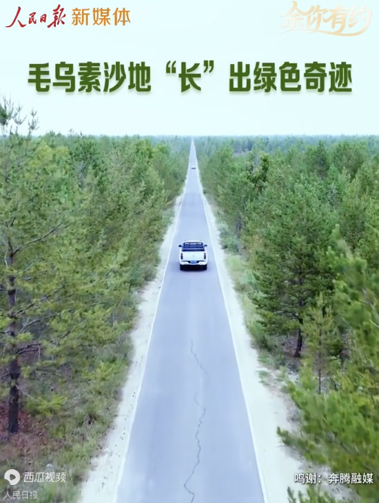 中国人让毛乌素荒沙变林海 绿色奇迹再现