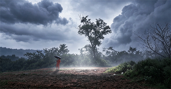 蔡玉水 | 十七载朝夕相守，与旷野里那棵历经风雨依旧屹立的小树一同生长