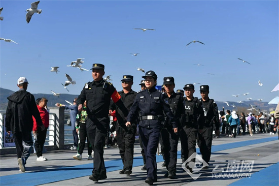 昆明这支队伍，能巡逻能反诈还能“护鸥”