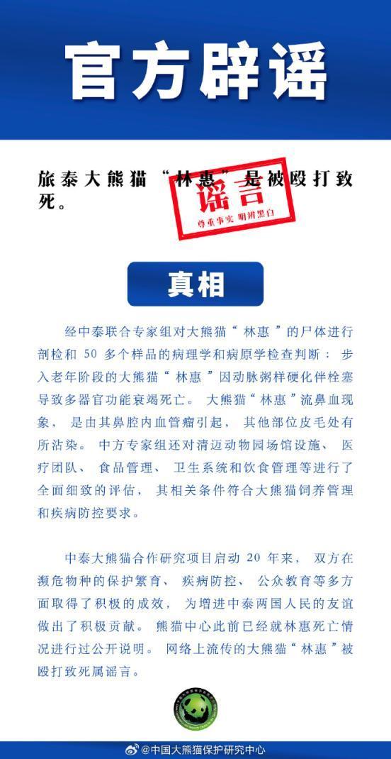 旅泰大熊猫林惠被打死系谣言 网络传言澄清