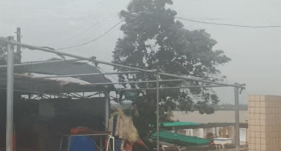 麦德姆登陆 狂风暴雨中树木猛摇 多地受灾严重