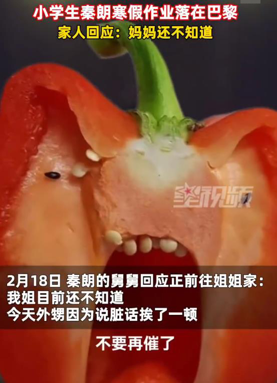 小学生寒假作业落巴黎？丢寒假作业的秦朗家人回应：妈妈还不知道