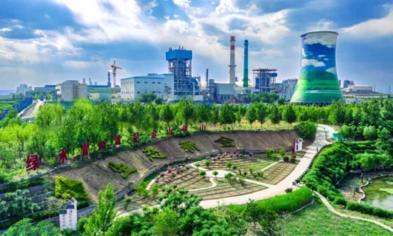 20260109104728600299.jpg 55.jpg