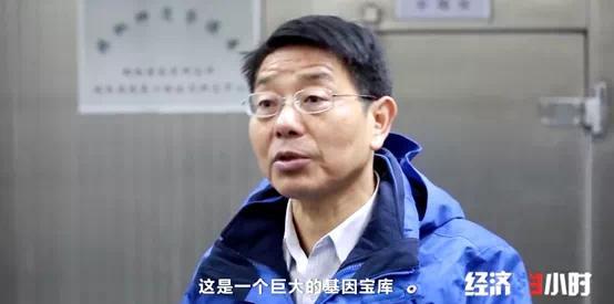 辣椒一斤卖300元？！你吃过吗？