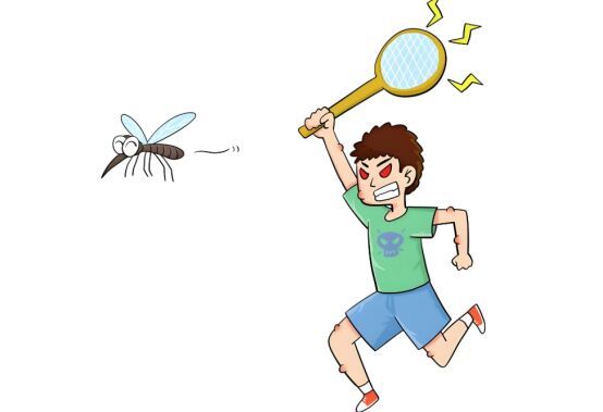 基孔肯雅熱與登革熱有啥不同 癥狀相似易混淆