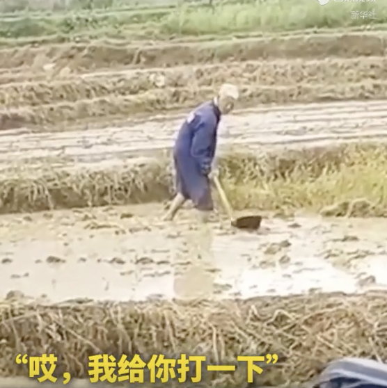 老人烈日下耕地農(nóng)機手免費幫忙 善舉溫暖人心