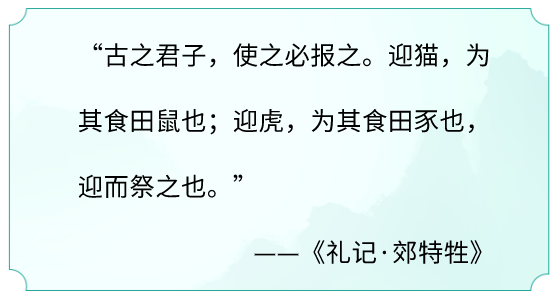 喵！你知道吸猫是从啥时候开始流行的吗？