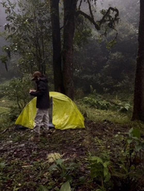 露营哀牢山女博主道歉 违规露营引争议