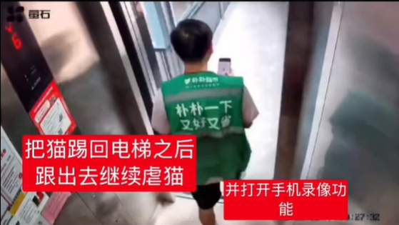 朴朴涉嫌虐猫配送员被辞退