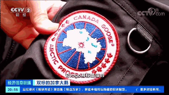 上海消保委约谈加拿大鹅 参会人员“一问三不知”