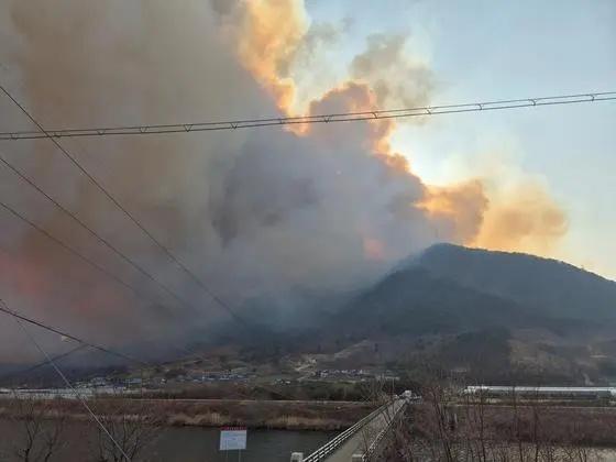 韓國多地進入災(zāi)難狀態(tài) 山火致4人遇難