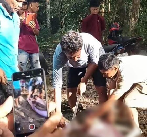 印尼一老人被巨蟒吞食后死亡 村民合力制服巨蟒