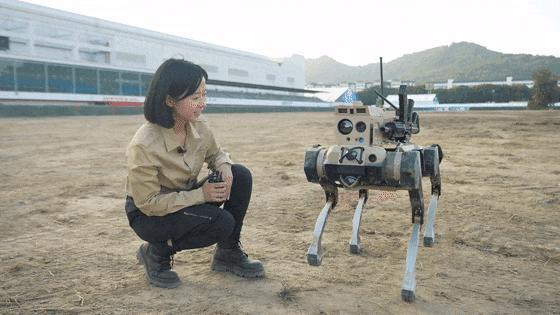 阅兵的“机器狼”与机器狗有啥区别 无人作战新突破