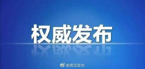 武汉市新增4例新冠病毒核酸检测阳性病例